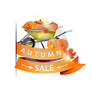 Autumn sale, isolated web banner with ribbon, garden wheelbarrow with a harvest of pumpkins and autumn leaves