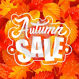 Autumn Sale Lettering and Leaf Seamless Pattern