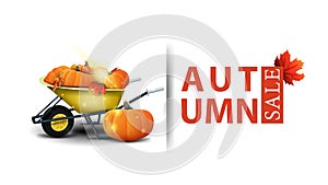 Autumn sale, modern design of a discount banner for your site with garden wheelbarrow with a harvest of pumpkins and autumn leaves