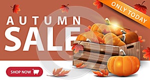 Autumn sale, modern orange discount banner with button, wooden crates of ripe pumpkins and autumn leaves