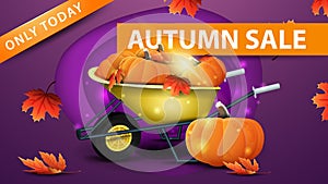 Autumn sale, modern purple discount banner in paper cut style with garden wheelbarrow with a harvest of pumpkins and autumn leaves