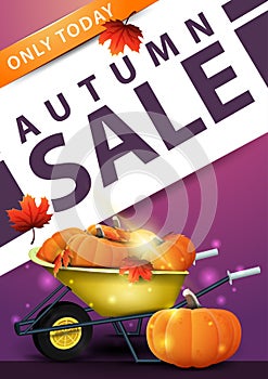 Autumn sale, pink vertical discount banner with garden wheelbarrow with a harvest of pumpkins and autumn leaves