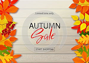 Autumn sale poster with fall leaves on wooden backgrounds. Vector illustration for website and mobile website banners