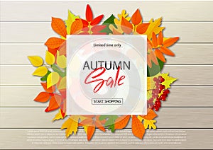 Autumn sale poster with fall leaves on wooden backgrounds. Vector illustration for website and mobile website banners