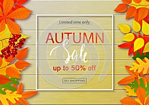 Autumn sale poster with fall leaves on wooden backgrounds. Vector illustration for website and mobile website banners