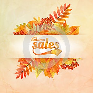 Autumn sale poster with leaves on a old paper