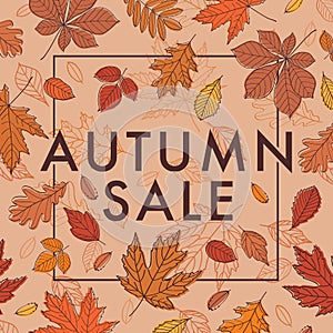 Autumn sale. Promotional poster with autumn leaves. Fall of the leaves.