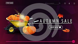 Autumn sale, purple discount banner with polygonal texture, garden wheelbarrow with a harvest of pumpkins and autumn leaves