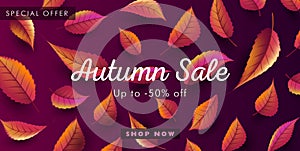 Autumn sale retail website backdrop banner advertising with texture of coloured leaves on backdrop