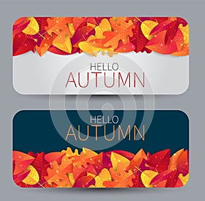 Autumn sale set of banner with rounded corners. Gift card or promo voucher. Red and orange fall leaves on background. Advertising