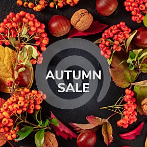 Autumn Sale square design with chestnuts and fall leaves, overhead shot