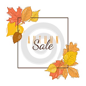 Autumn sale square frame banner vector illustration. Squared frame with autumnal leaves on background. Fall sale squares