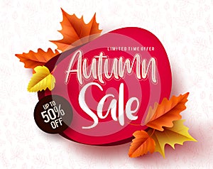 Autumn sale vector banner. Autumn sale and discount text in red space with maple leaves