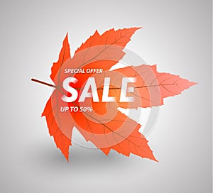 Autumn sale vector illustration photo
