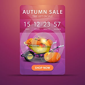 Autumn sale, web banner with countdown to the end of the sale with garden wheelbarrow with a harvest of pumpkins and autumn leaves