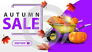 Autumn sale, white banner with garden wheelbarrow with a harvest of pumpkins and autumn leaves