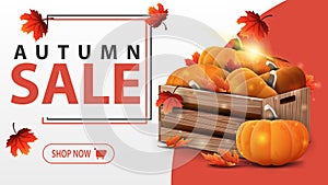 Autumn sale, white banner with wooden crates of ripe pumpkins and autumn leaves
