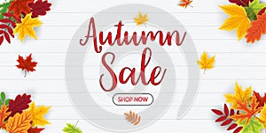 Autumn sale on wooden background. Promotion banner with fall leaves offer. Card for autumn and thanksgiving discount. Special