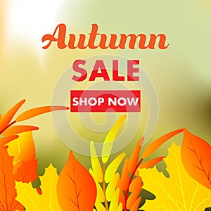 Autumn sale yellow fall leaves background. Colorful foliage nature element banner vector. Business retail abstract decoration