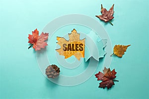 Autumn sales