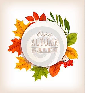 Autumn Sales Banner With Colorful Leaves.