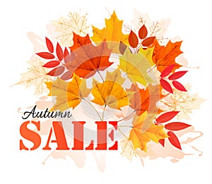 Autumn Sales Banner With Colorful Leaves.