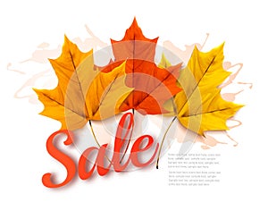 Autumn Sales banner with colorful leaves.