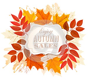 Autumn Sales Banner With Colorful Leaves.