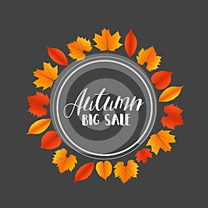 Autumn Sales Banner With Colorful Leaves. Vector