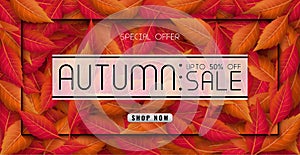 Autumn sales banner design with colorful seasonal fall leaves.