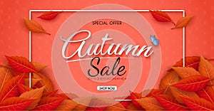 Autumn sales banner design with colorful seasonal fall leaves