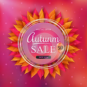 Autumn sales banner design and colorful seasonal fall leaves
