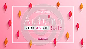 Autumn sales banner design with colorful seasonal fall leaves. and concept autumn advertising