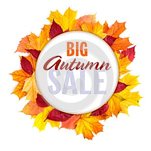 Autumn Sales Banner. Poster with colorful maple leaves with text on white background