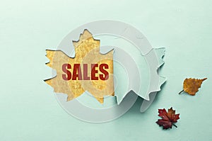 Autumn sales paper reveal