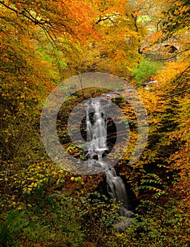 Autumn at Scaleber Force near Settle, North Yorkshire