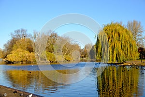 Autumn scene at boating lake in Regent`s Park photo