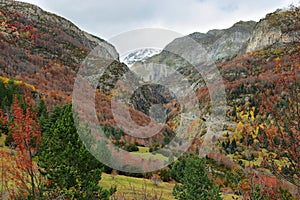 Autumn scene in Bujaruelo valley, Spain photo