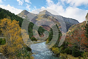 Autumn scene in Bujaruelo valley, Spain photo