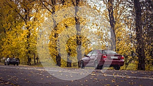 Autumn scene with Cherry red 4 door family d-class sedan Toyota Camry