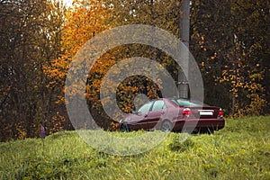 Autumn scene with Cherry red 4 door family d-class sedan Toyota Camry