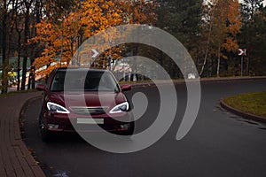 Autumn scene with Cherry red 4 door family d-class sedan Toyota Camry