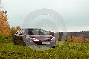 Autumn scene with Cherry red 4 door family d-class sedan Toyota Camry