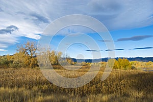 Autumn Scene on the Colorado Prairie