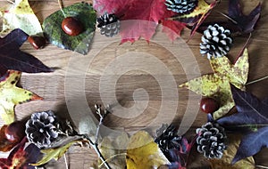 Autumn scene copy space and frame leaves cones conkers on a wooden background