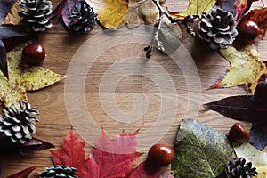 Autumn scene copy space and frame leaves cones conkers on a wooden background