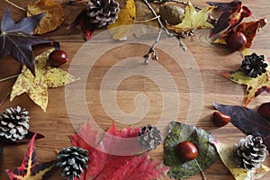 Autumn scene copy space and frame leaves cones conkers on a wooden background
