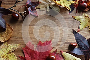 Autumn scene copy space and frame leaves cones conkers on a wooden background