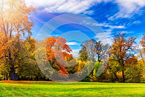 Autumn scene, fall,  red and yellow trees and leaves in sun light. Beautiful autumn landscape with yellow trees and sun. Colorful