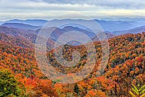 Autumn Scene in the Great Smoky Mountains